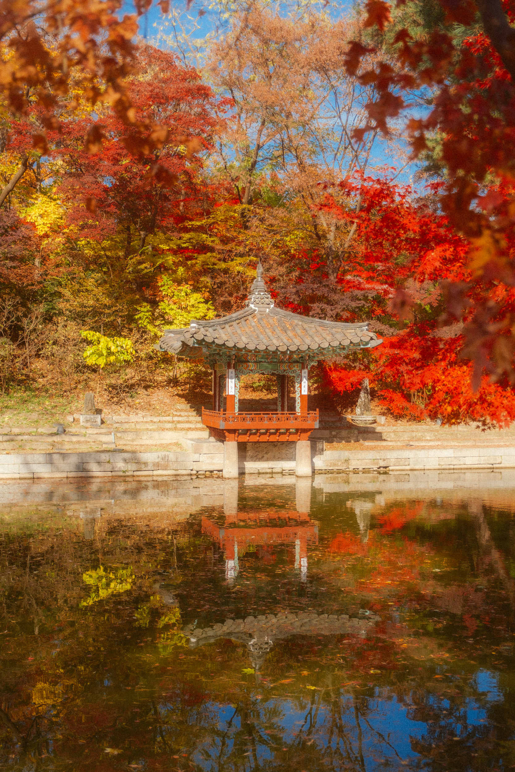 어제 담아온 가을 🍂 | 인스티즈