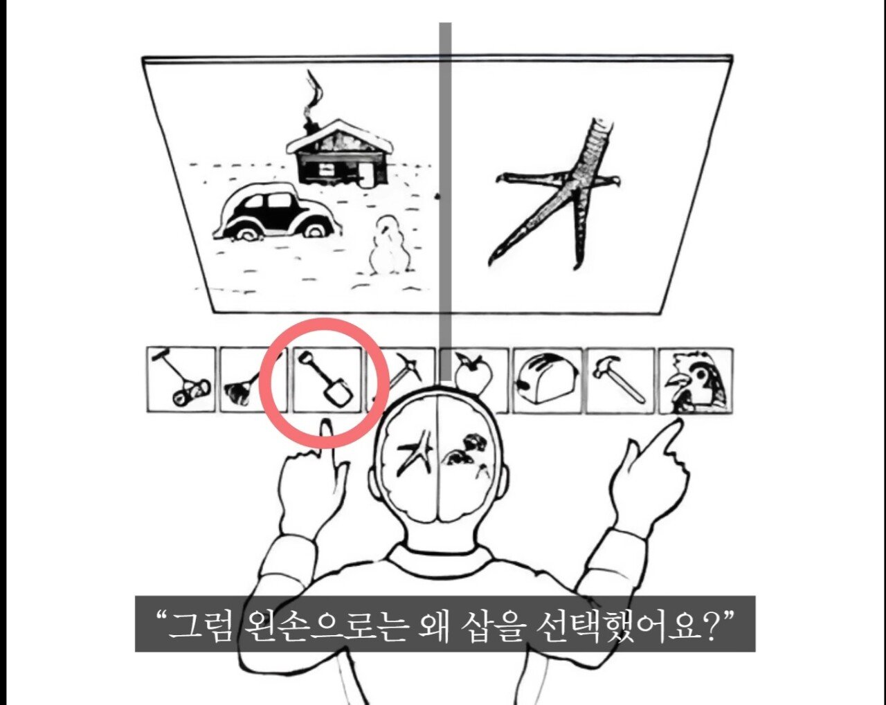 오싹오싹 스스로에게 구라치는 뇌.jpg | 인스티즈