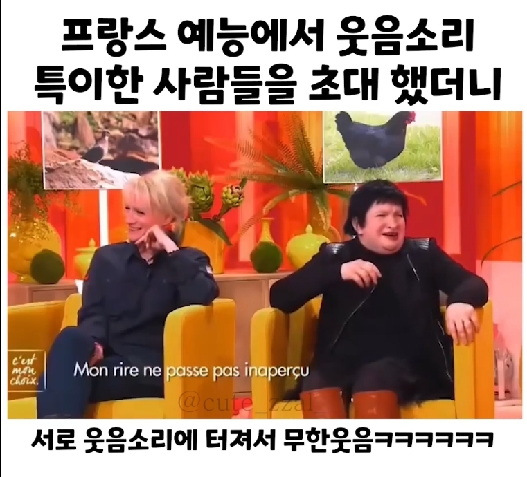 특이한 웃음소리를 가진 사람들끼리 모이면 벌어지는 일 ㅋㅋㅋ | 인스티즈