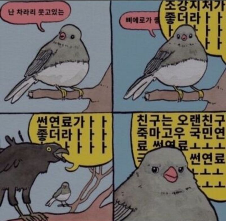엔팁/인팁 여시들이 웃겨서 저장한 짤 공유달글 - 악플달면 쩌리쩌려버려 - ＊여성시대＊ 차분한 20대들의 알흠다운 공간