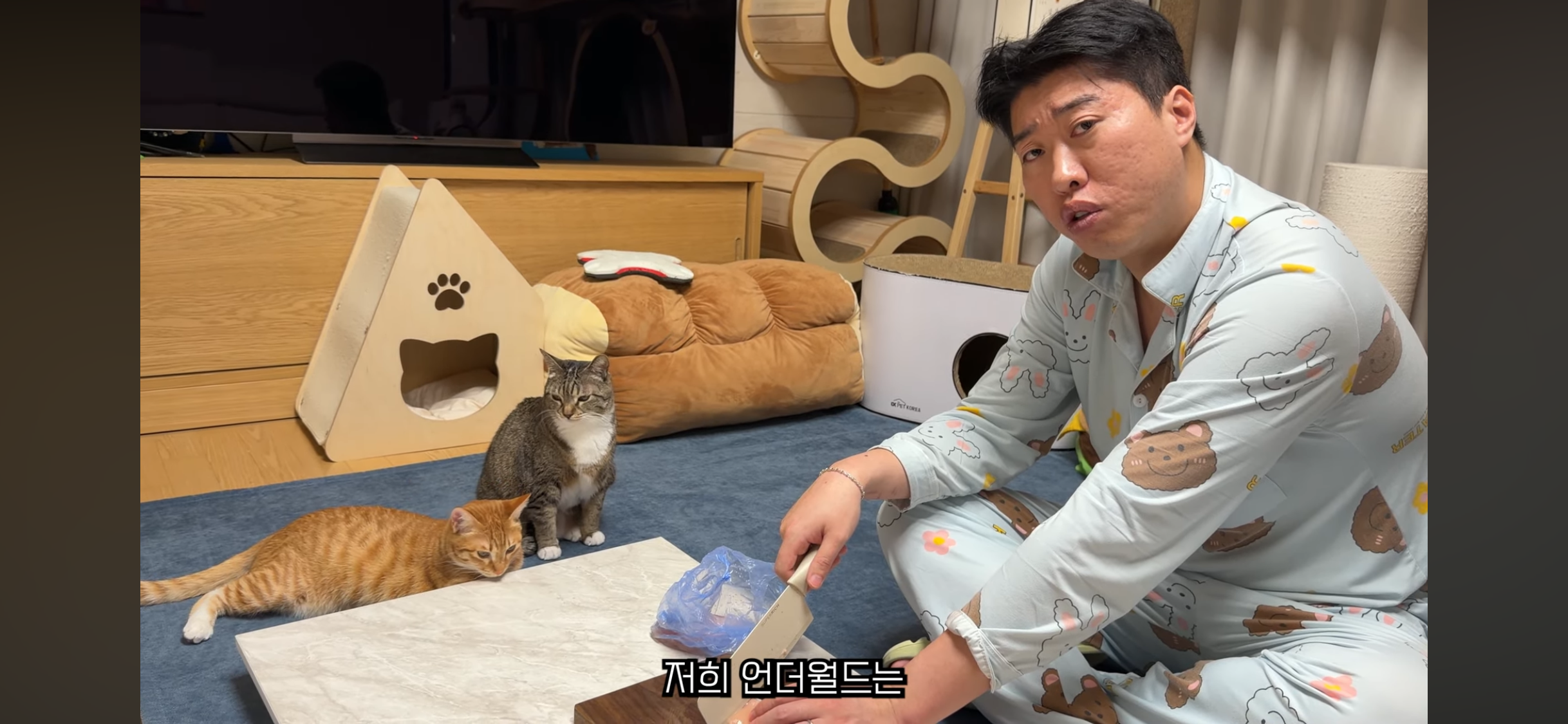 칠복이(0살 고양이)를 향한 악플 경고하는 언더월드 | 인스티즈