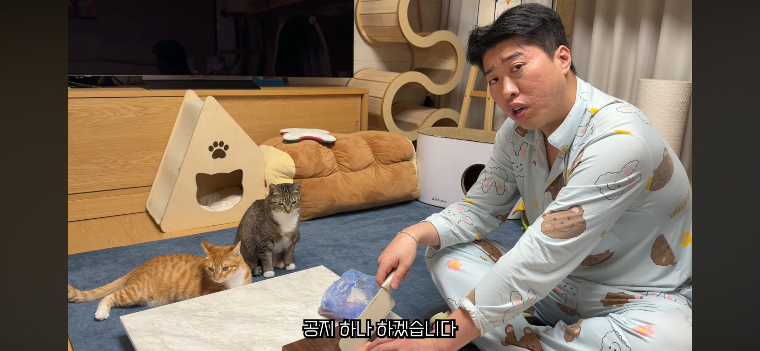 칠복이(0살 고양이)를 향한 악플 경고하는 언더월드 | 인스티즈