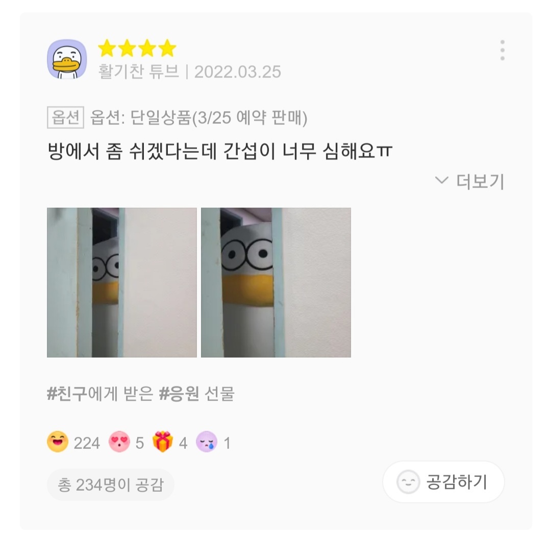 재치있는 오둥이 바디필로우 리뷰들 | 인스티즈