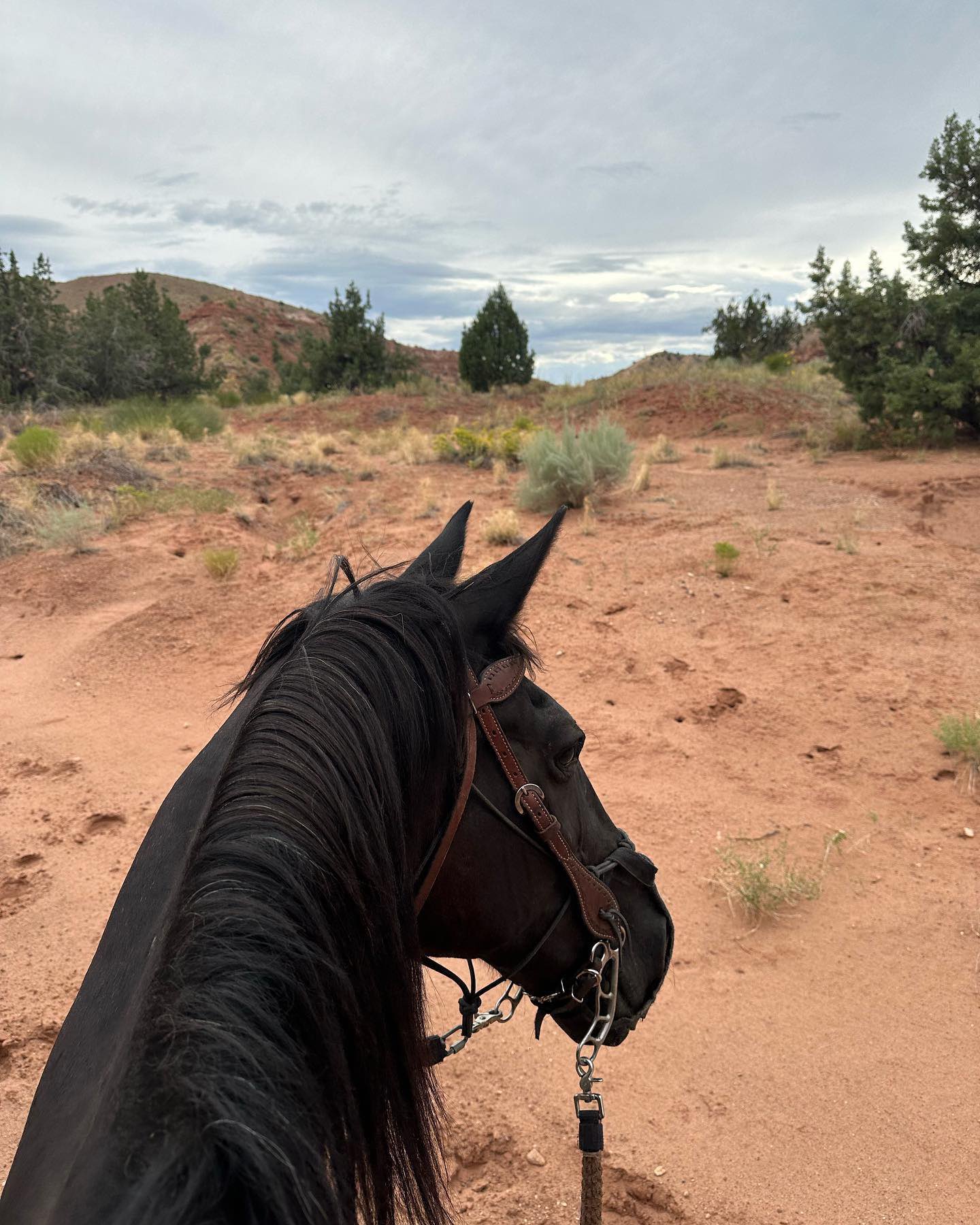 끝내주는 휴가 보내고 온듯한 블랙핑크 제니 | 인스티즈
