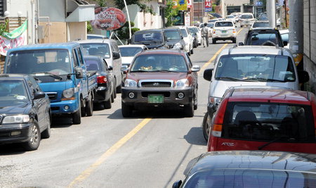 고양이 산책? 하지마!!!!! | 인스티즈