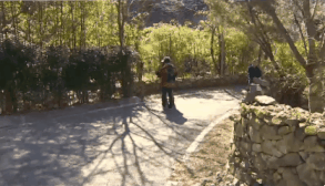 마루한테 산책당하는 문재인대통령.gif | 인스티즈