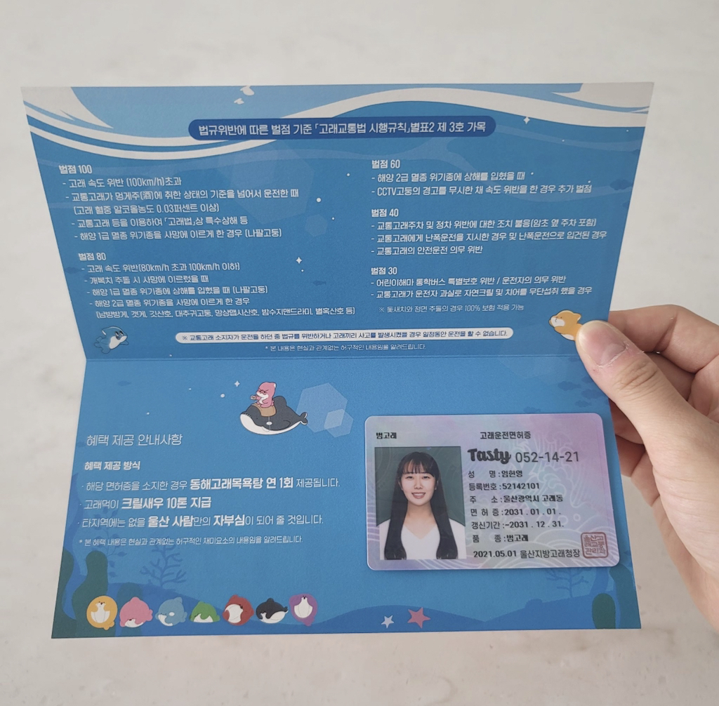 노잼도시 탈출을 위한 울산 고래운전면허증.jpg | 인스티즈