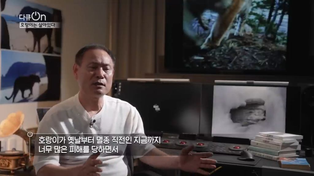 '절멸'의 '한국 호랑이'. 🐅 그 100년간의 이야기. -마지막- | 인스티즈