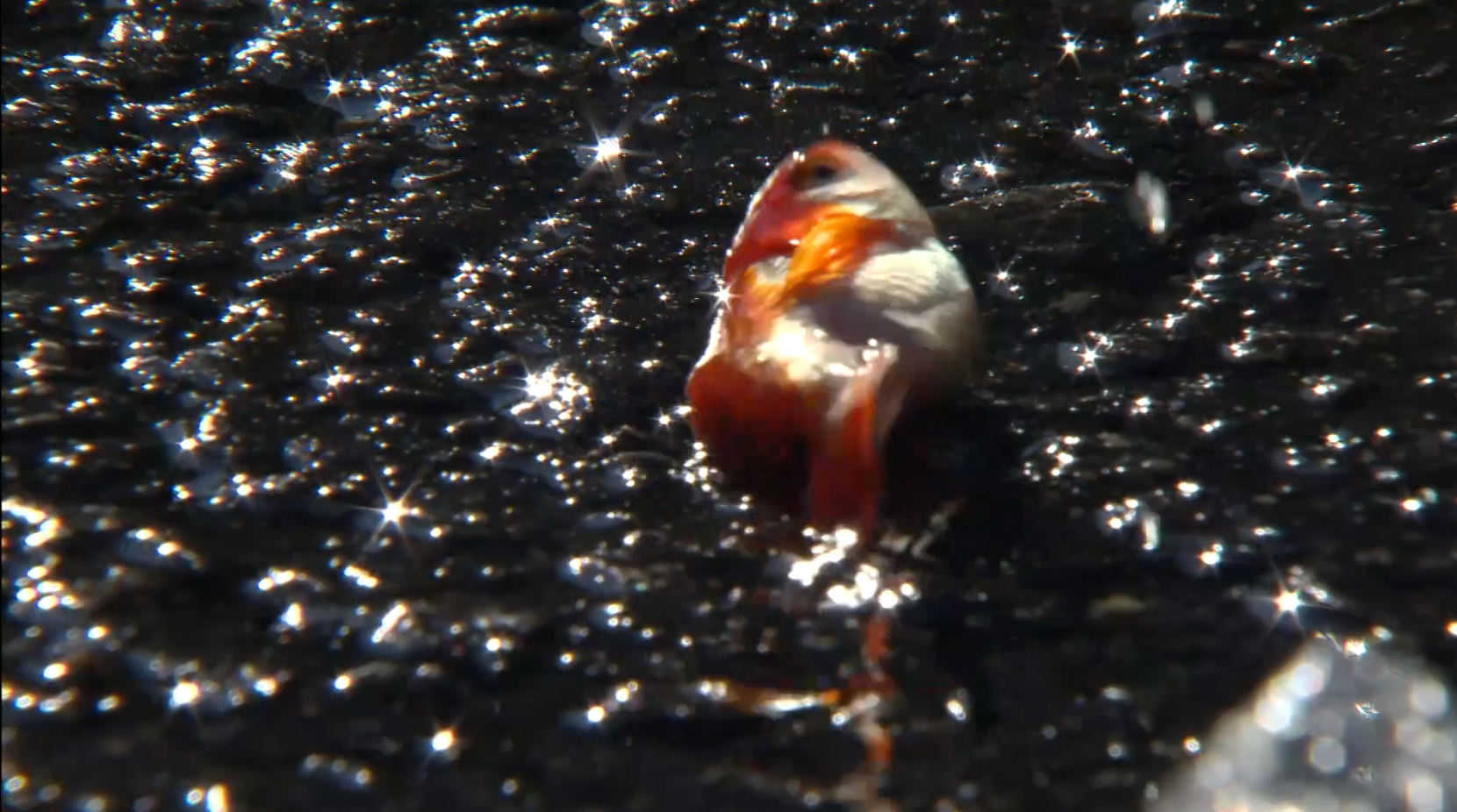 0b8b7c2fe65bf797bf78c2ff7b02ae4c21e7e822