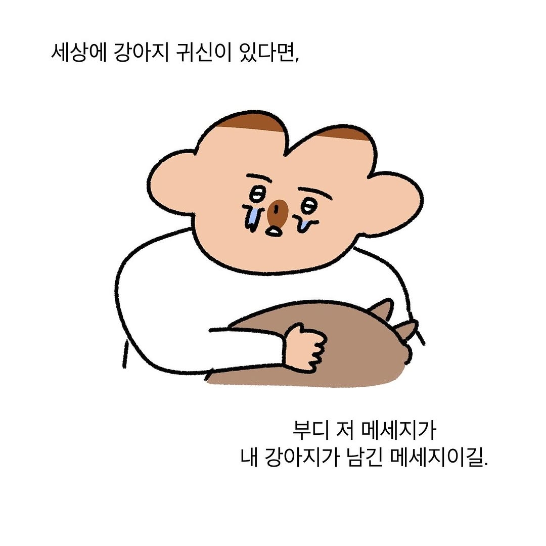반려동물을 떠나보낸 사람이라면 공감할 인스타툰 | 인스티즈