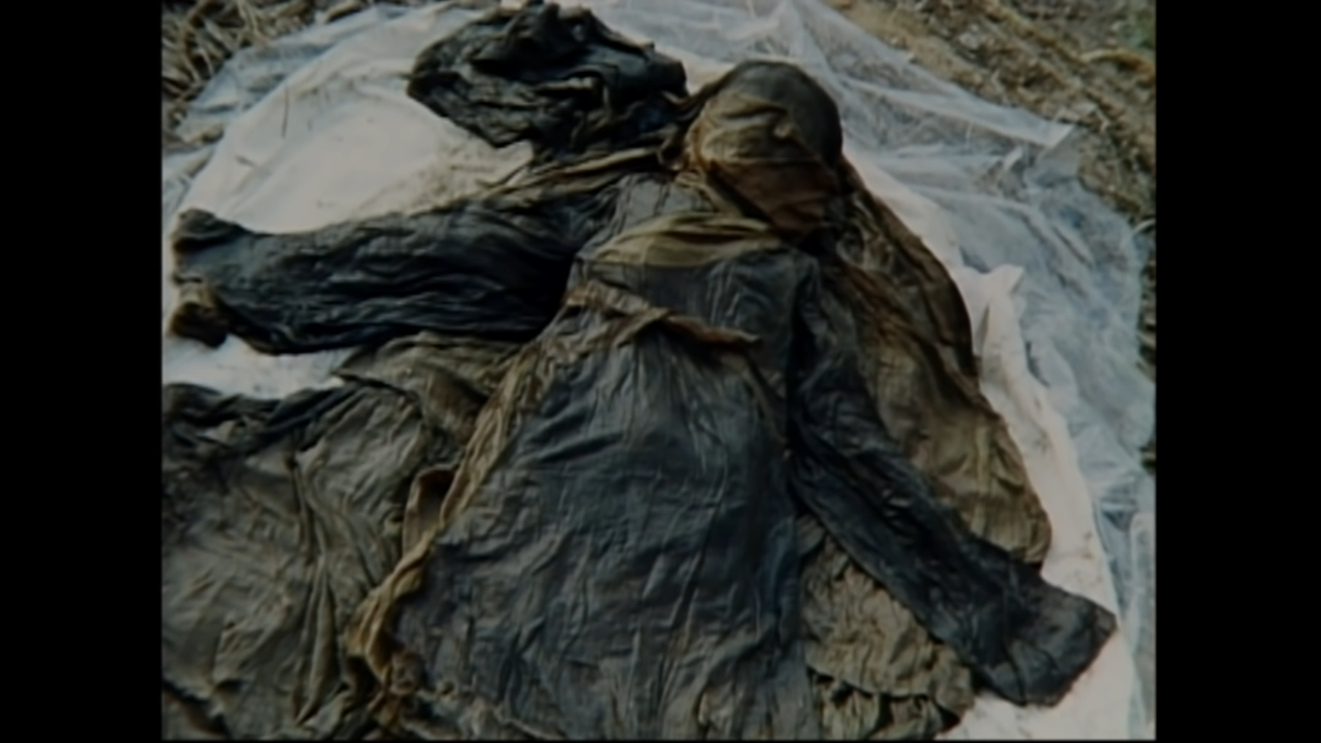 소년 미라의 묘에서 함께 발견된 것 | 인스티즈