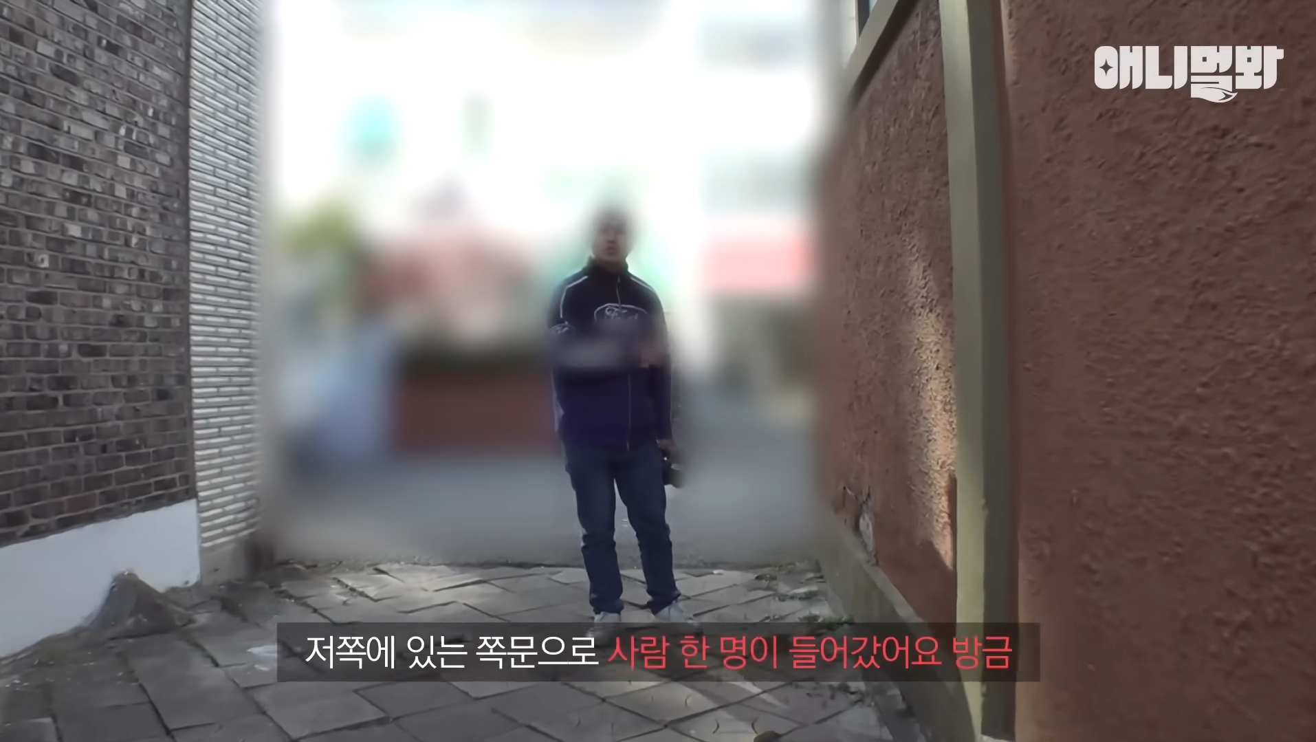 털로 뒤덮여서 걷지도 못하는데 케어한 거라는 견주 | 인스티즈