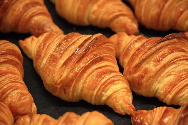 좋아하는 빵 식감 고르기 | 인스티즈