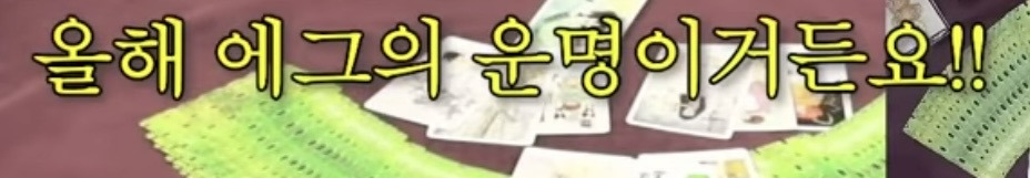 흥미로운 지락실3 운명 타로 | 인스티즈