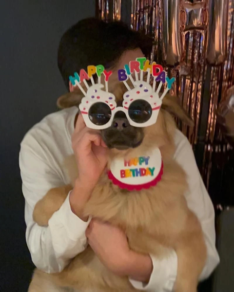 조승우가 반려견 생일에 직접 주문한 케이크 | 인스티즈