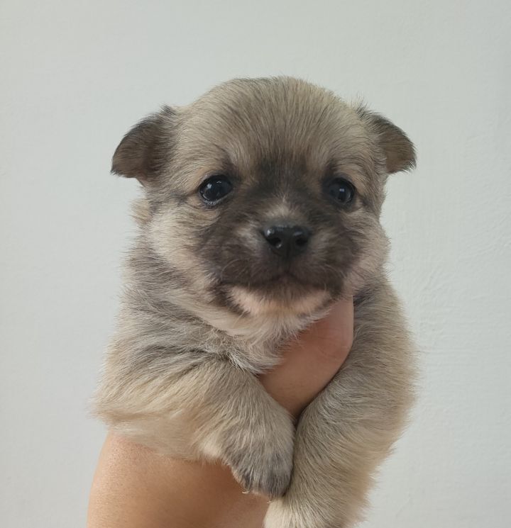 (공지라니... ++추가)새로생긴 회사 복지.. 미쳐서 도저히 일을 못하겠네.. (추가....)++추가 | 인스티즈