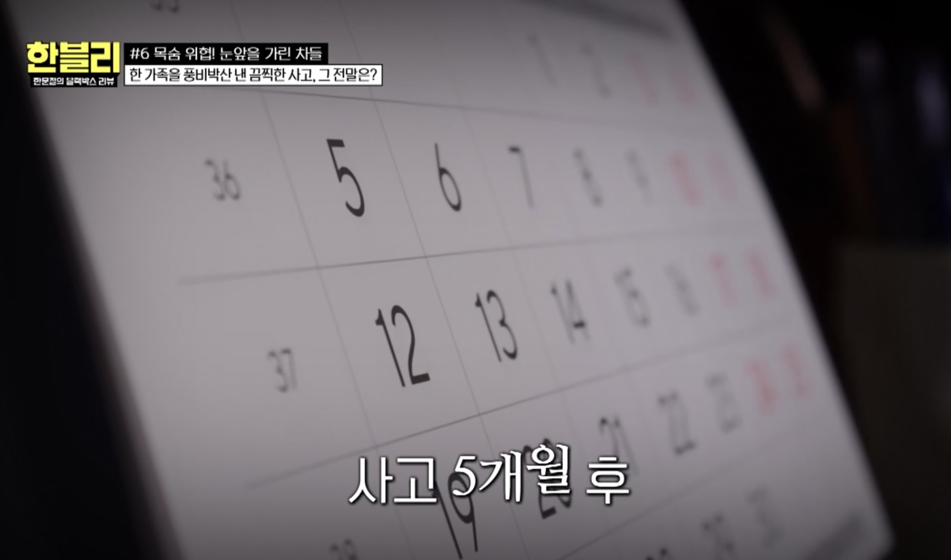 [한블리] 4톤 지게차에 30대 여자 직원이 깔린 충격적인 사건 | 인스티즈