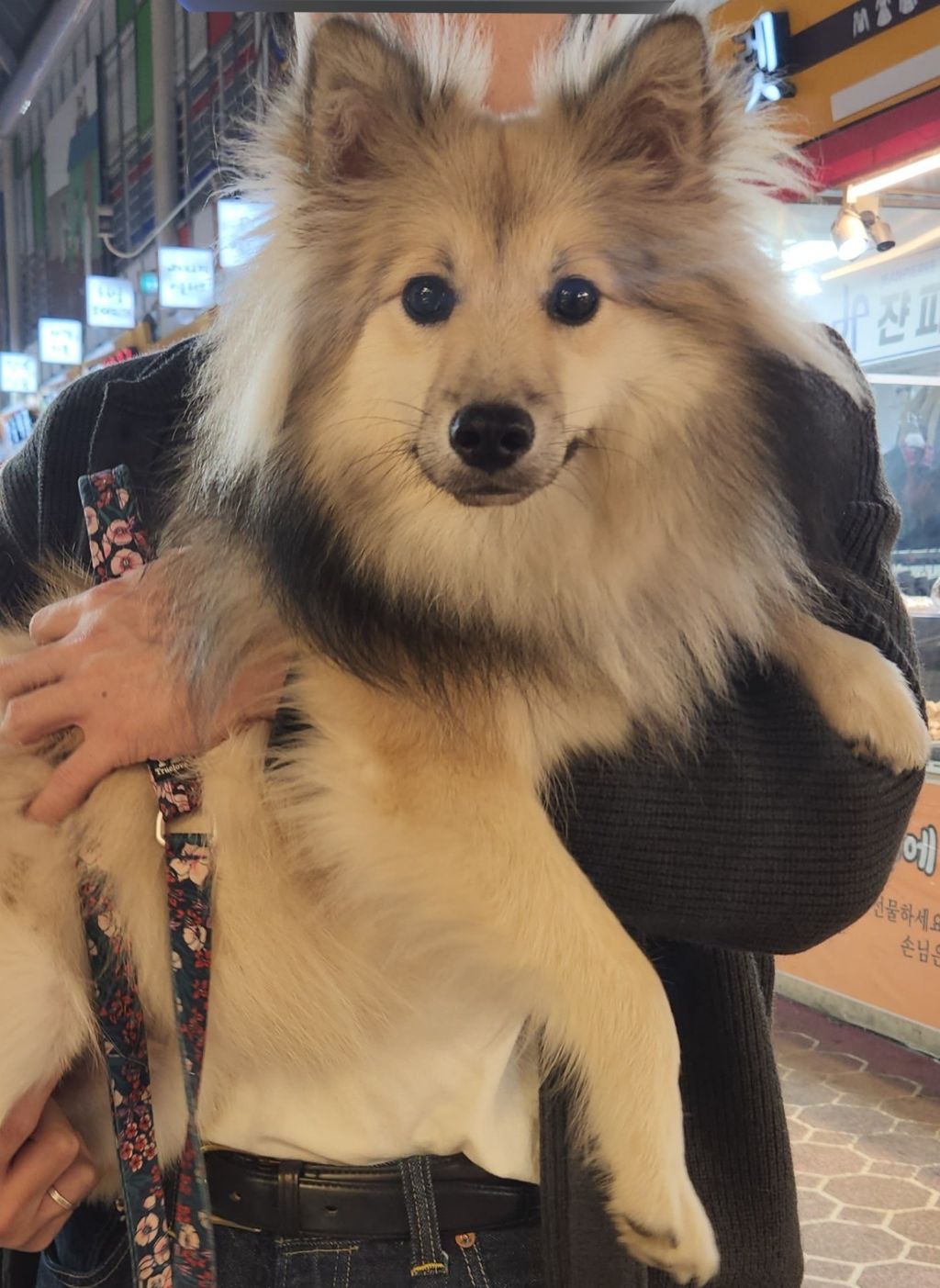 시장에서 만두 사는데 사장님이 잘생겼다고 만두를 더 줬어요 | 인스티즈