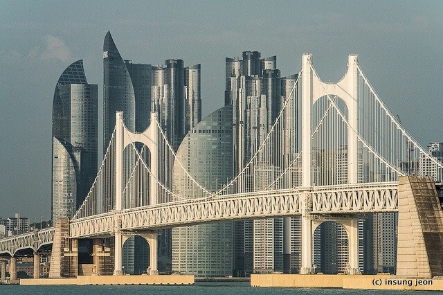 🌻우리나라의 제일 '유잼도시' 딱 하나 뽑아보는 글🌷 | 인스티즈