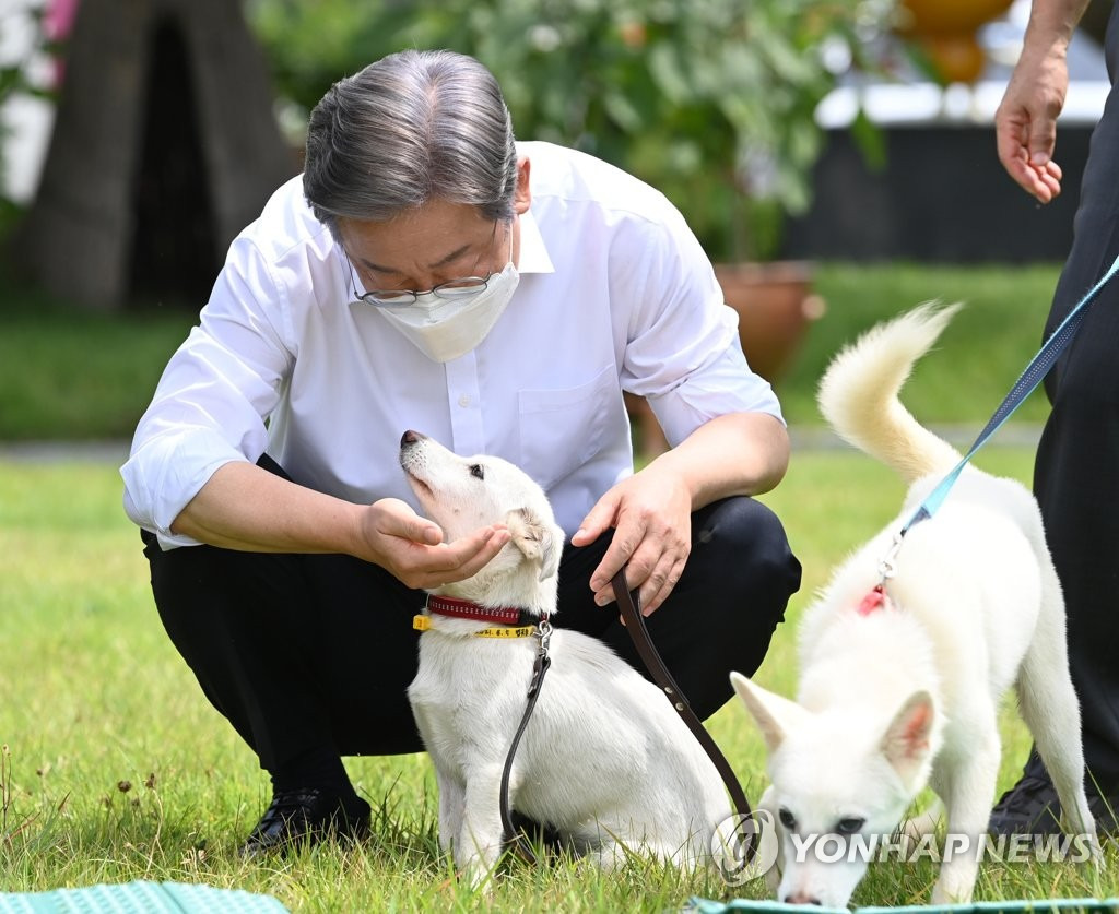 이재명 김문수로 보는 올바르게 강아지 안는 방법 | 인스티즈