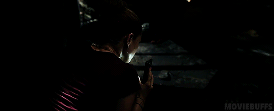 연락이 안되는 아빠가 걱정되서 집에 가봤더니 강아지가 지하실을 계속 응시하길래...gif | 인스티즈