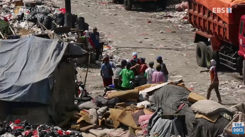 자극적 영상이 많아진 요즘, 안보면 후회하는 글 | 인스티즈