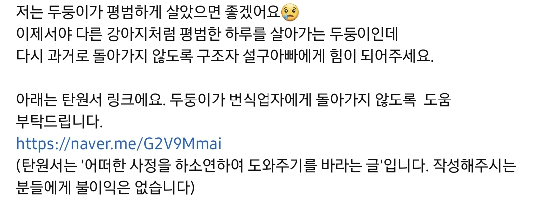 번식장에서 강아지 구조 후 치료했더니 절도죄로 고소당한 유튜버.jpg | 인스티즈