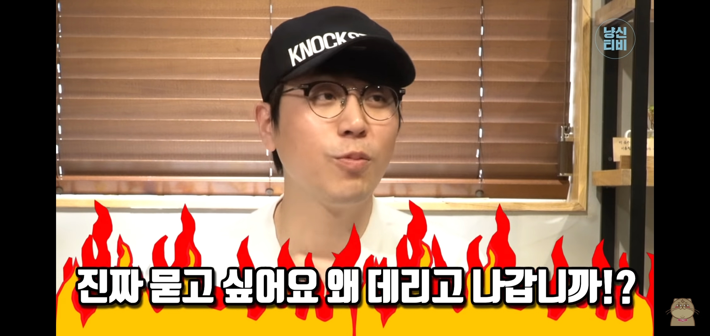 고양이 산책? 하지마!!!!! | 인스티즈