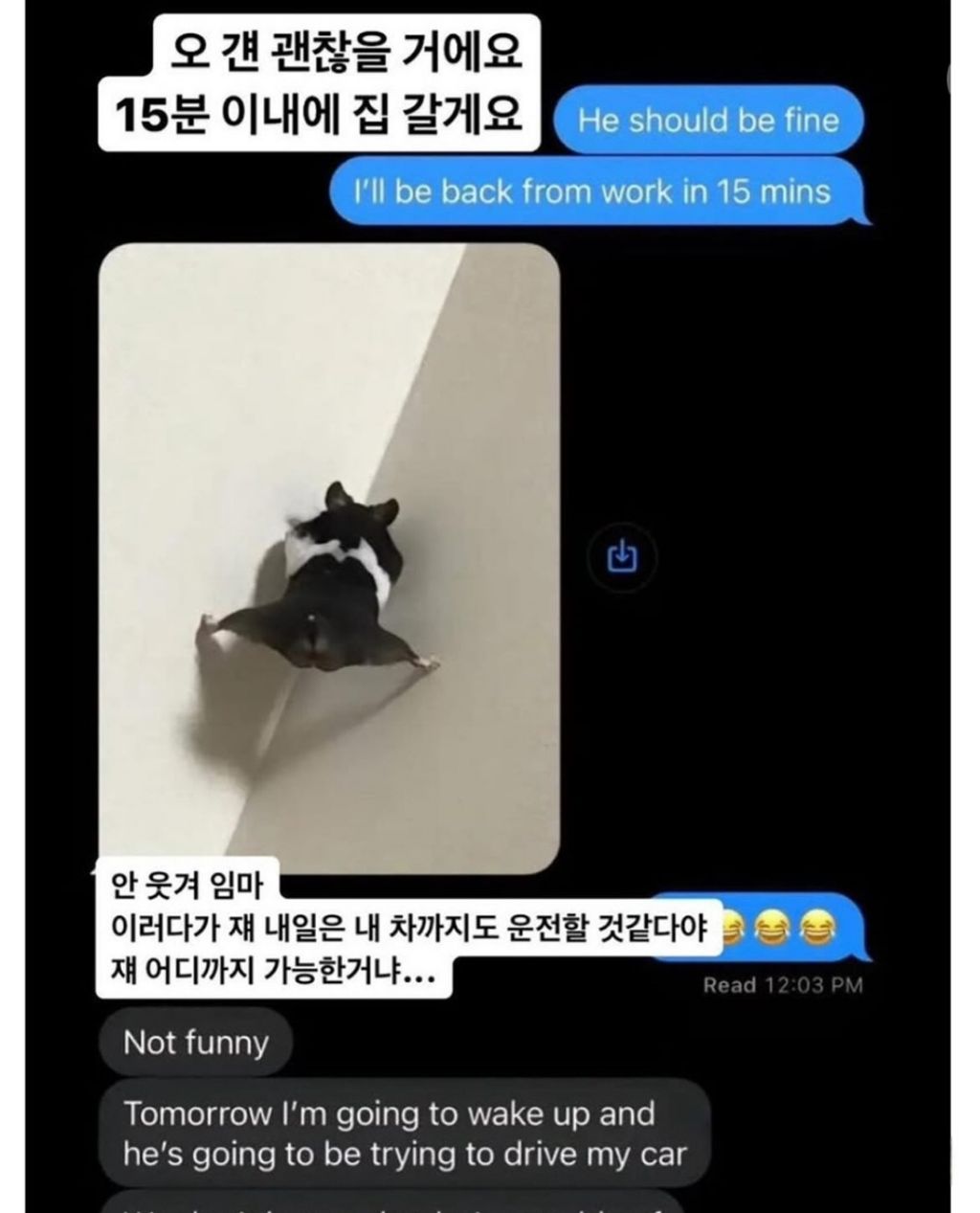 집에 언제 오냐고 아빠가 물어보는데 | 인스티즈