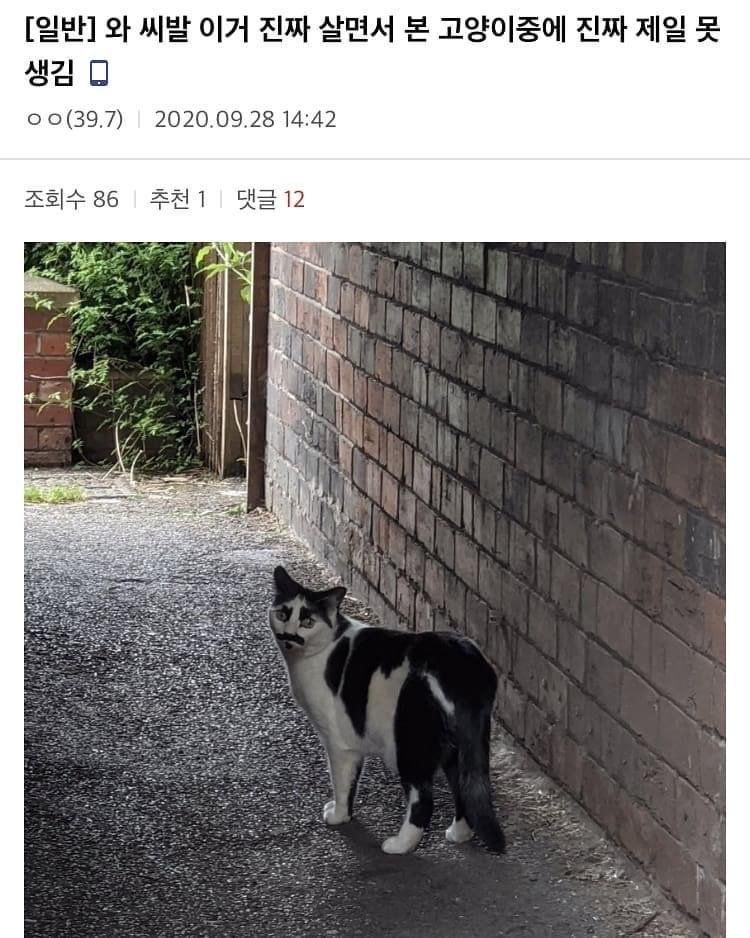 웃고가라 | 인스티즈