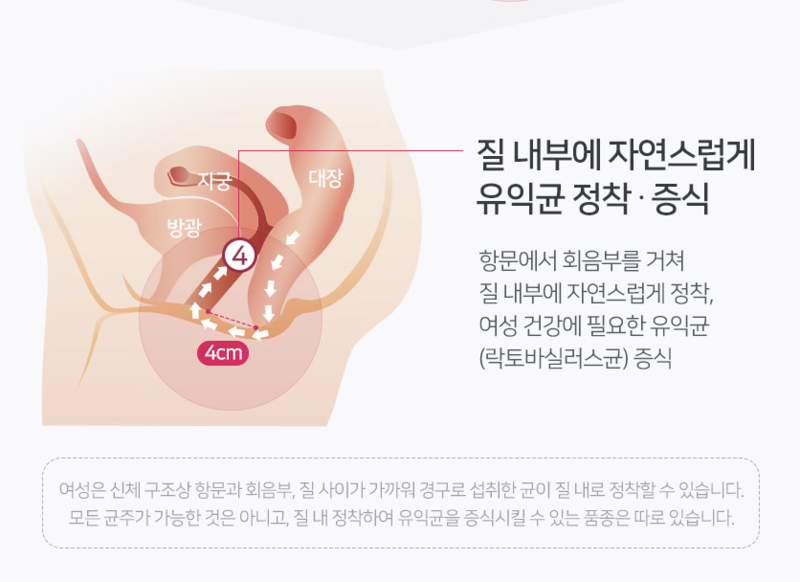 질 유산균은 진짜 항문에서 질로 이동하는 걸까?.jpg | 인스티즈