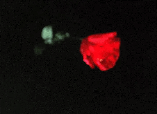 나는 아무것도 꿈꾸지 않았고. 사랑해. 그것만은 나의 잘못이었지 | 인스티즈