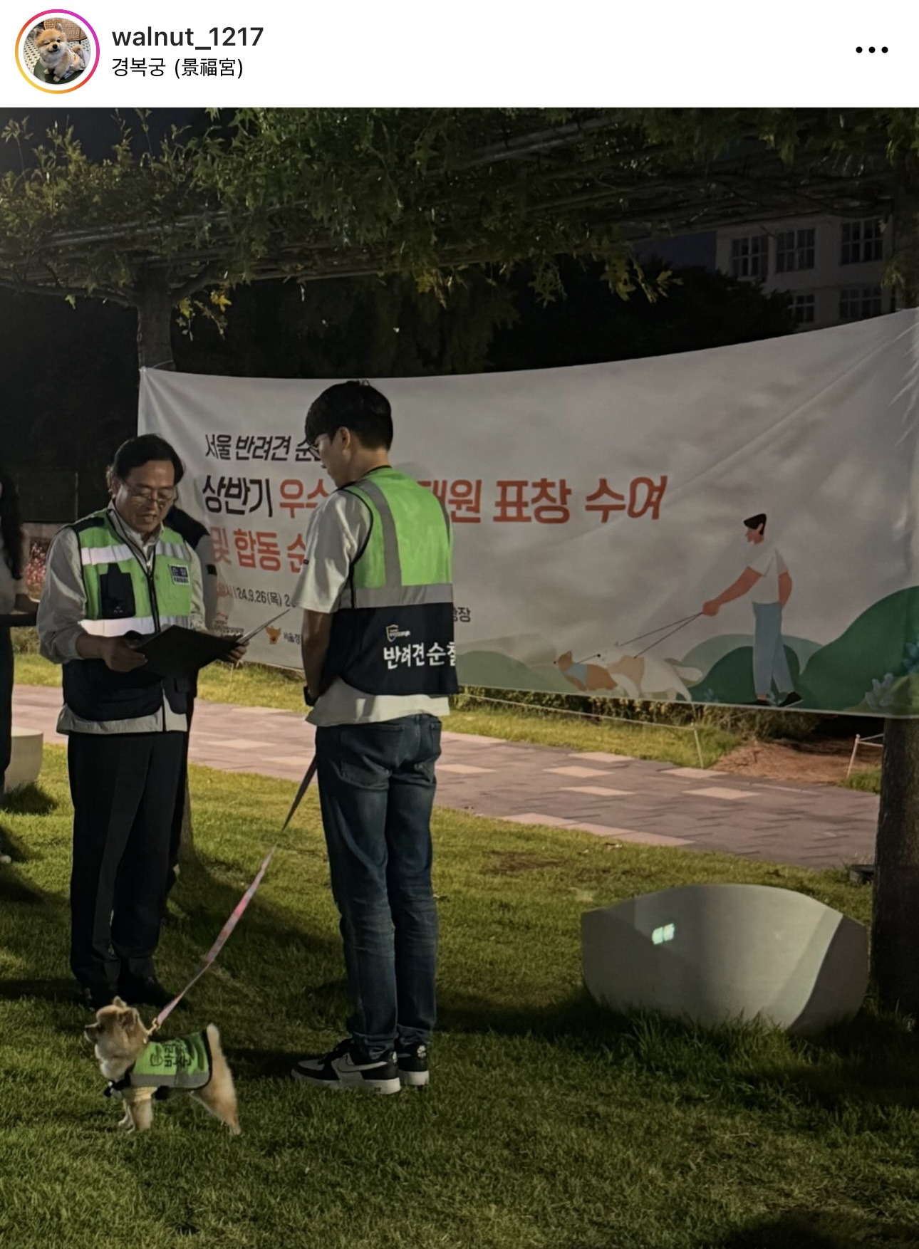 서울시 성동구 반려견 순찰대로 유명한 호두 순찰대 홍보 기여 및 활동 우수로 감사장 받음 | 인스티즈