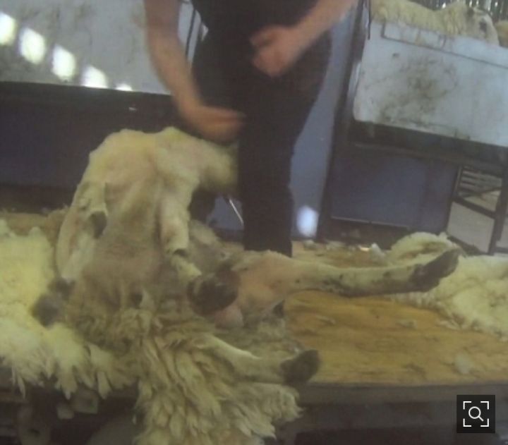 일부 사람들이 어그부츠 안 신는 이유 | 인스티즈