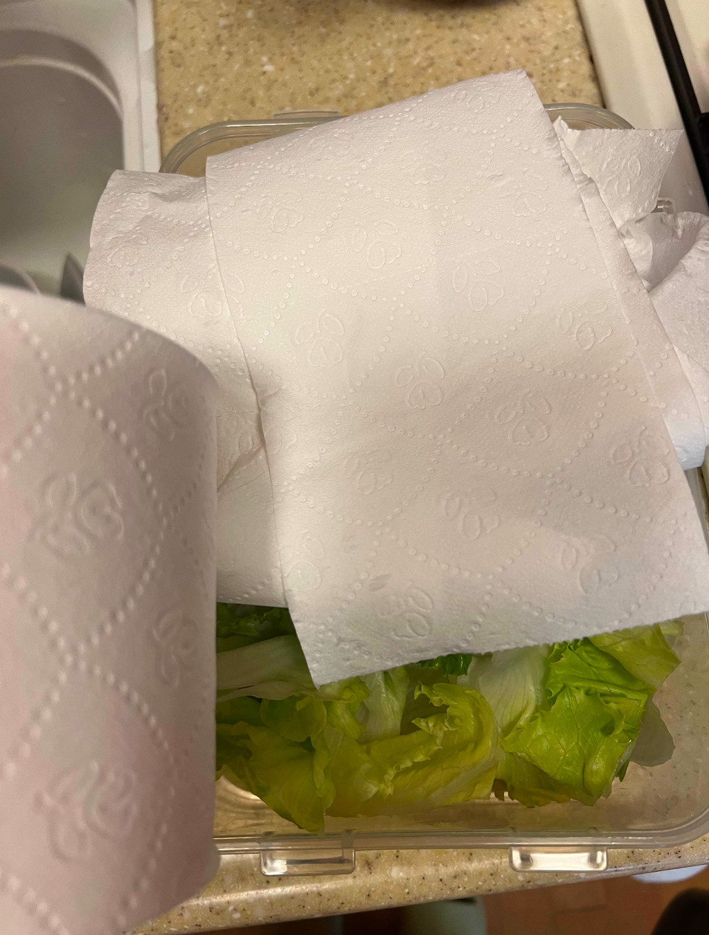 [블라인드] 와이프랑 개싸움..휴지 키친타올 문제 | 인스티즈