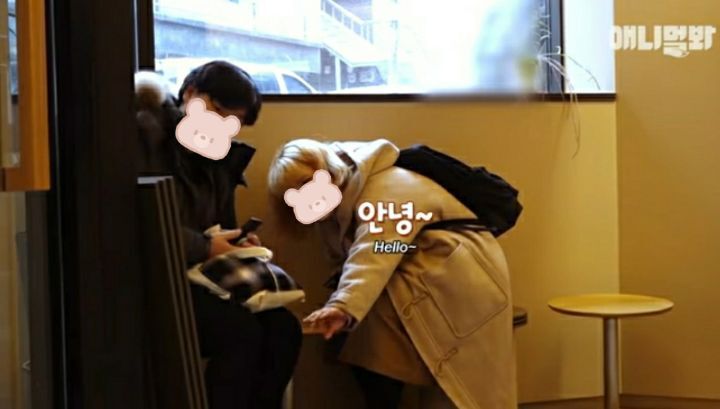 수줍음이 많은 강아지가 사람을 좋아하는 법 | 인스티즈