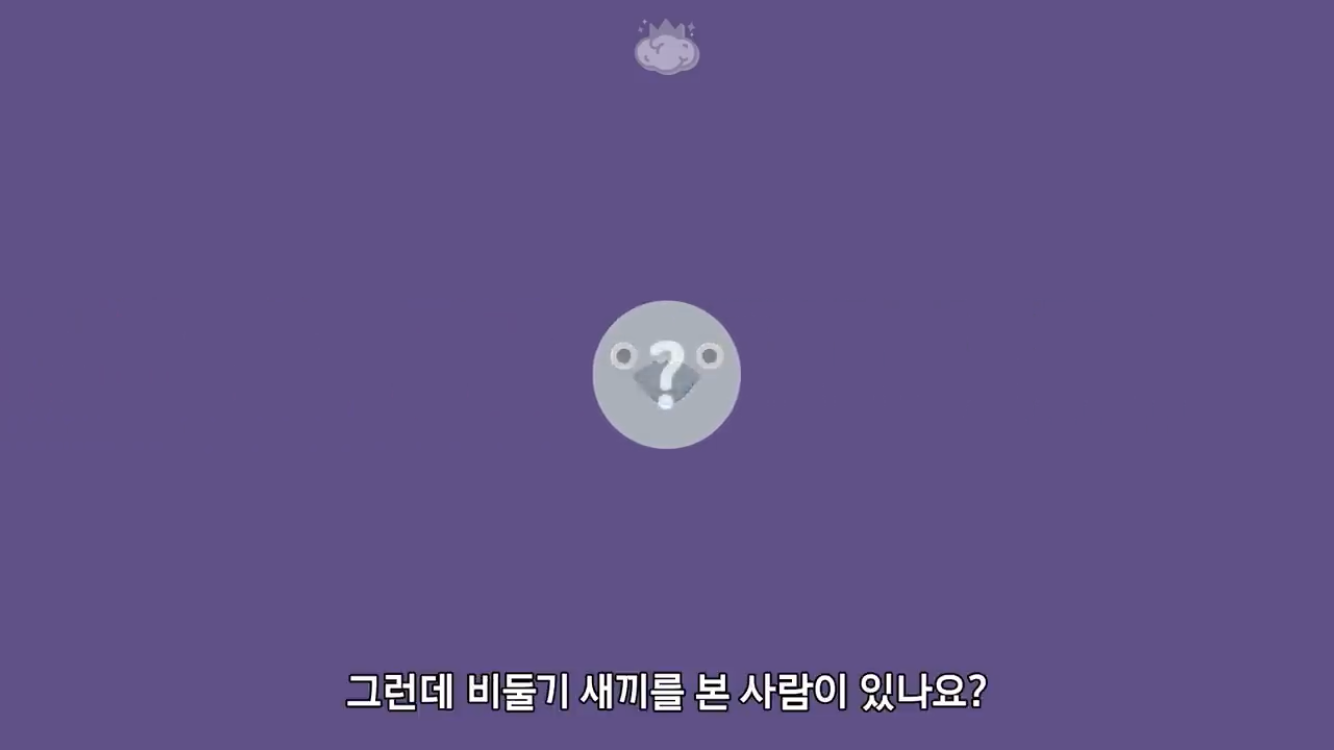 거리에 비둘기가 이렇게 많은데 왜 새끼 비둘기는 안 보일까? | 인스티즈
