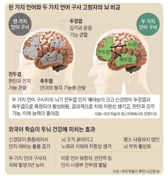 외국어 공부가 필요한 이유 | 인스티즈