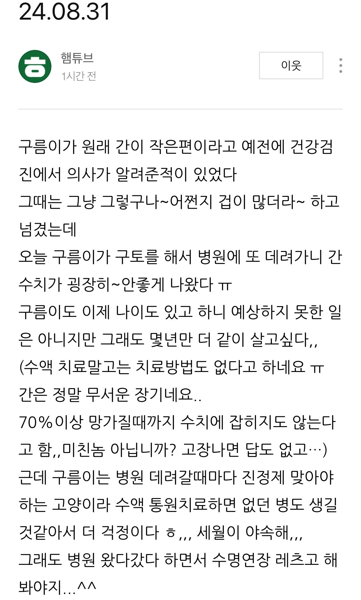 유튜버 햄튜브네 고양이 구름이 근황..twt | 인스티즈