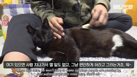 밤낮없이 집 도어락을 누르는 누군가때문에 고민인 부부 | 인스티즈