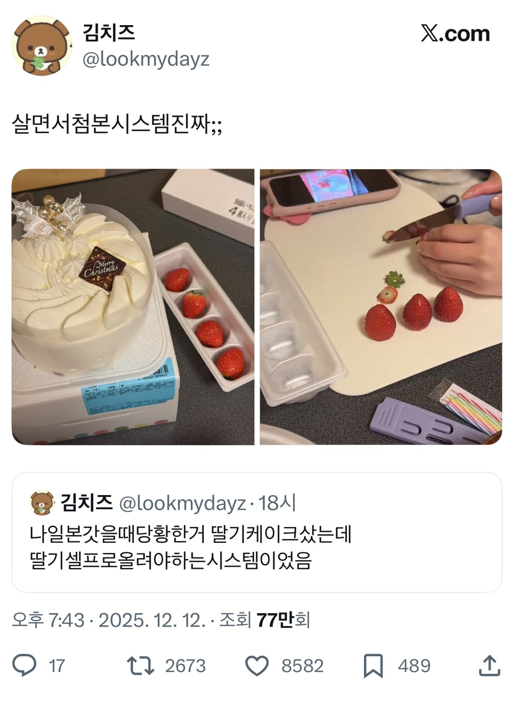 딸기를 직접 알아서 올려야하는 일본의 딸기 케이크 | 인스티즈