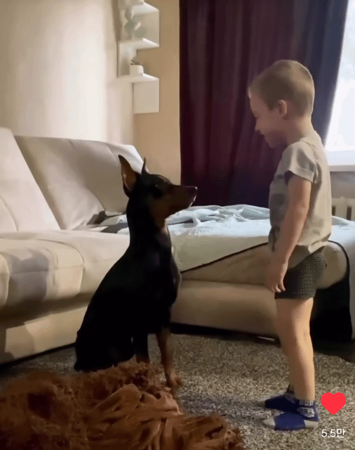 아기 집사랑 겁나 잘놀아주는 댕댕이 | 인스티즈