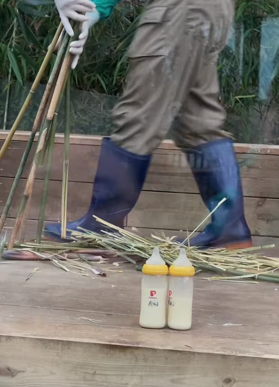 후이바오한텐 루이보다 분유양 적게준다는 송바오 ㅋㅋㅋ | 인스티즈