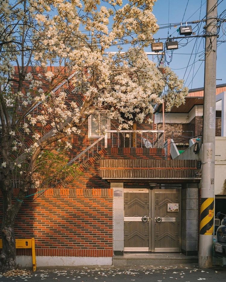 내가 사랑한 한국,3 | 인스티즈