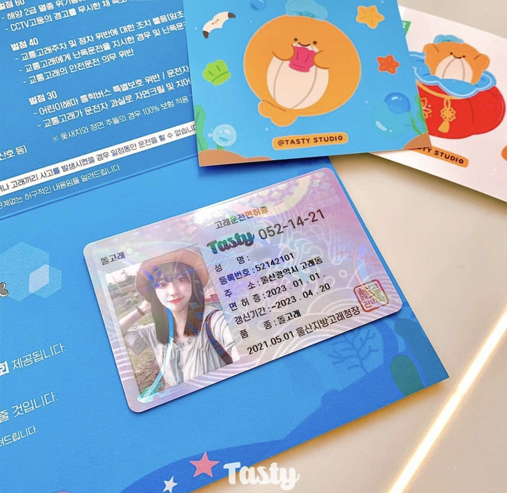 노잼도시 탈출을 위한 울산 고래운전면허증.jpg | 인스티즈