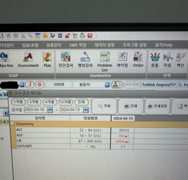 고양이 그 사료 증상없어도 혈검 수치 측정불가 | 인스티즈