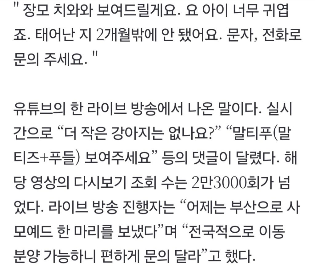 "요 아이, 태어난지 두달" 강아지 홈쇼핑?…제재 왜 못하나 | 인스티즈