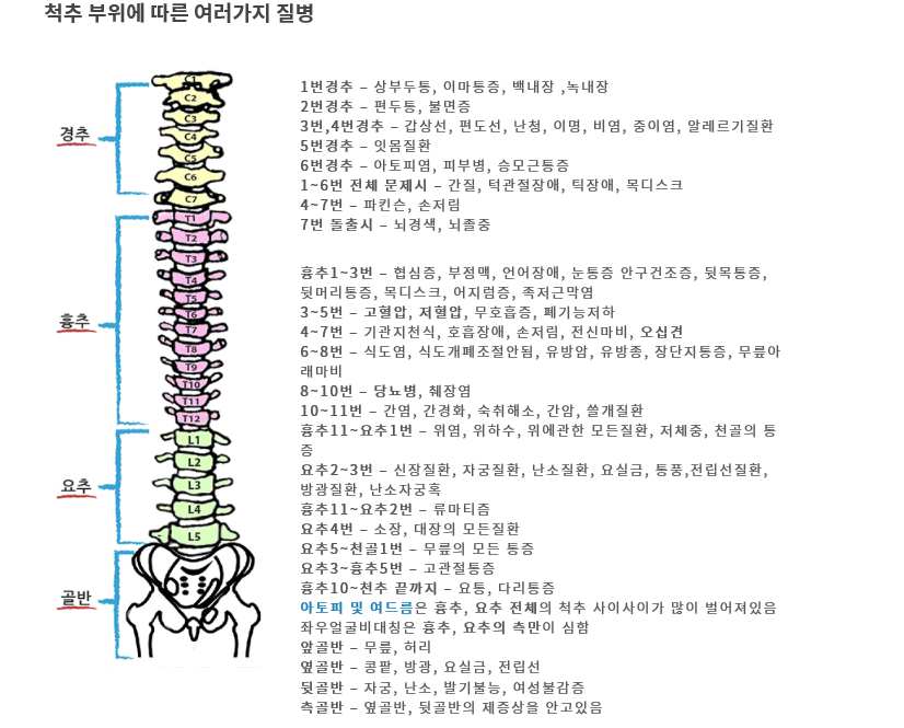 바른 자세로 살아야 하는 이유 | 인스티즈