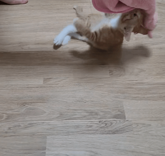 가... | 인스티즈