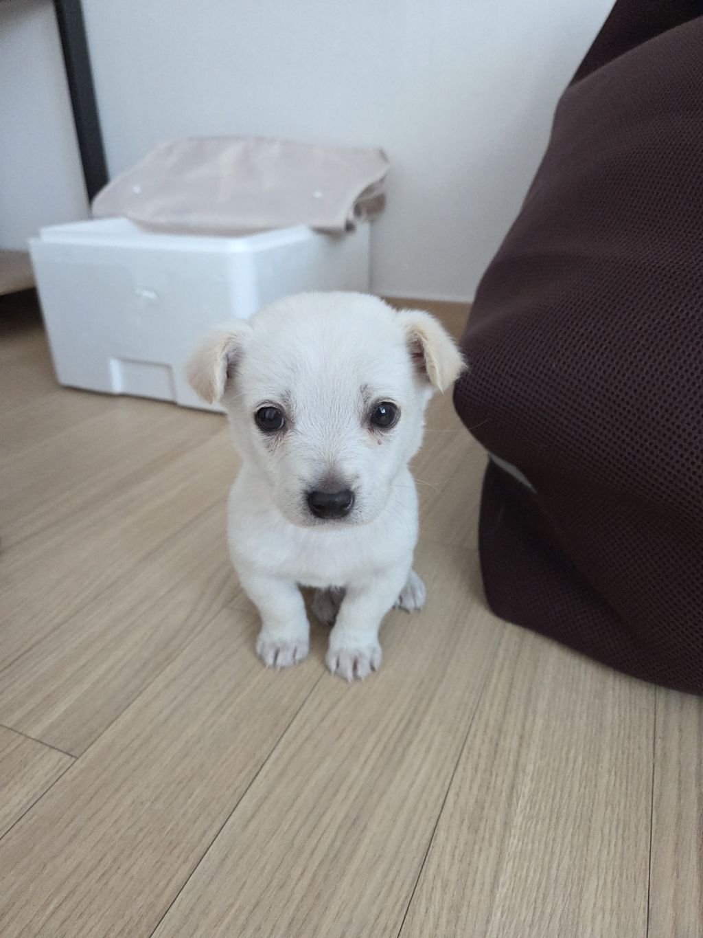 얘 많이 클거같아? | 인스티즈